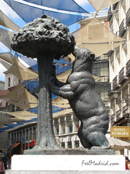 The Bear and the Strawberry Tree - El Oso y el Madroo